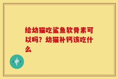 给幼猫吃鲨鱼软骨素可以吗？幼猫补钙该吃什么