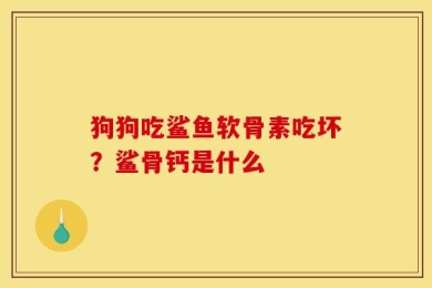 狗狗吃鲨鱼软骨素吃坏？鲨骨钙是什么