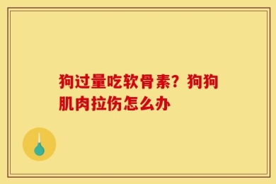 狗过量吃软骨素？狗狗肌肉拉伤怎么办