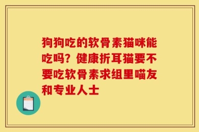 狗狗吃的软骨素猫咪能吃吗？健康折耳猫要不要吃软骨素求组里喵友和专业人士