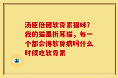 汤臣倍健软骨素猫咪？我的猫是折耳猫，每一个都会得软骨病吗什么时候吃软骨素
