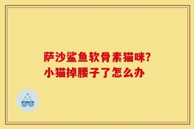 萨沙鲨鱼软骨素猫咪？小猫掉腰子了怎么办