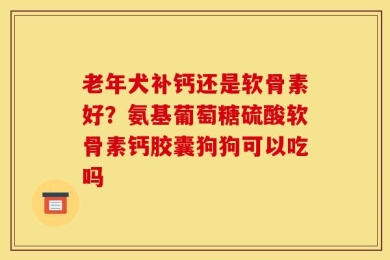 老年犬补钙还是软骨素好？氨基葡萄糖硫酸软骨素钙胶囊狗狗可以吃吗