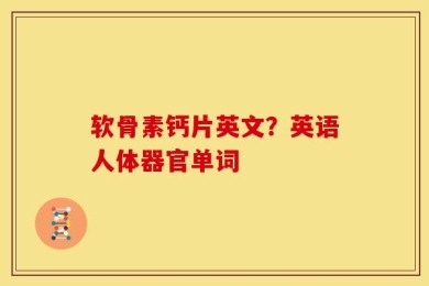 软骨素钙片英文？英语人体器官单词