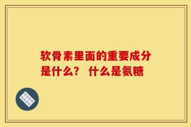 软骨素里面的重要成分是什么？ 什么是氨糖
