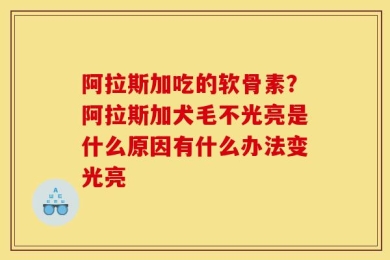 阿拉斯加吃的软骨素？阿拉斯加犬毛不光亮是什么原因有什么办法变光亮