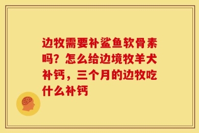 边牧需要补鲨鱼软骨素吗？怎么给边境牧羊犬补钙，三个月的边牧吃什么补钙