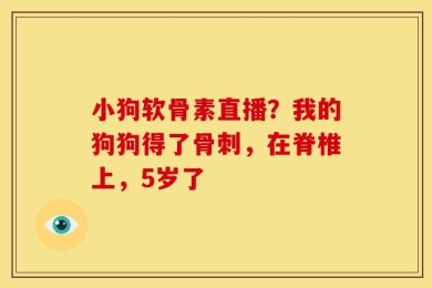 小狗软骨素直播？我的狗狗得了骨刺，在脊椎上，5岁了