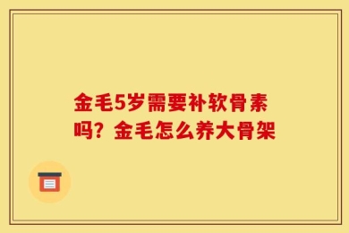 金毛5岁需要补软骨素吗？金毛怎么养大骨架