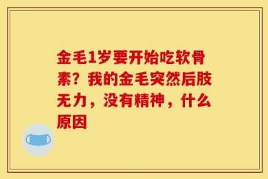 金毛1岁要开始吃软骨素？我的金毛突然后肢无力，没有精神，什么原因