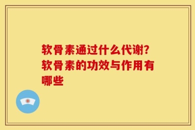 软骨素通过什么代谢？软骨素的功效与作用有哪些