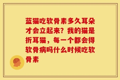 蓝猫吃软骨素多久耳朵才会立起来？我的猫是折耳猫，每一个都会得软骨病吗什么时候吃软骨素