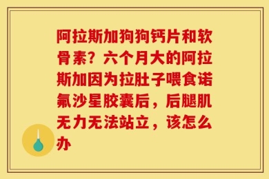 阿拉斯加狗狗钙片和软骨素？六个月大的阿拉斯加因为拉肚子喂食诺氟沙星胶囊后，后腿肌无力无法站立，该怎么办