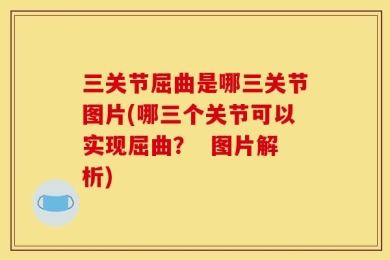 三关节屈曲是哪三关节图片(哪三个关节可以实现屈曲？  图片解析)