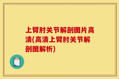 上臂肘关节解剖图片高清(高清上臂肘关节解剖图解析)