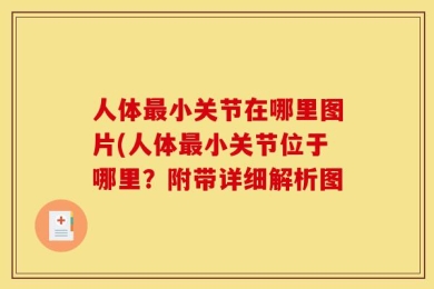 人体最小关节在哪里图片(人体最小关节位于哪里？附带详细解析图