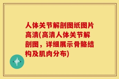 人体关节解剖图纸图片高清(高清人体关节解剖图，详细展示骨骼结构及肌肉分布)