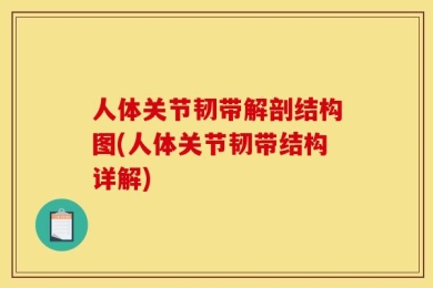 人体关节韧带解剖结构图(人体关节韧带结构详解)