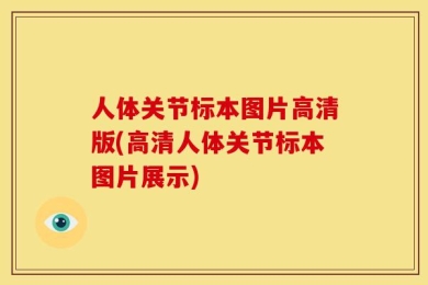 人体关节标本图片高清版(高清人体关节标本图片展示)