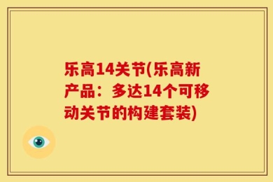 乐高14关节(乐高新产品：多达14个可移动关节的构建套装)