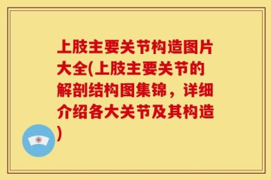 上肢主要关节构造图片大全(上肢主要关节的解剖结构图集锦，详细介绍各大关节及其构造)