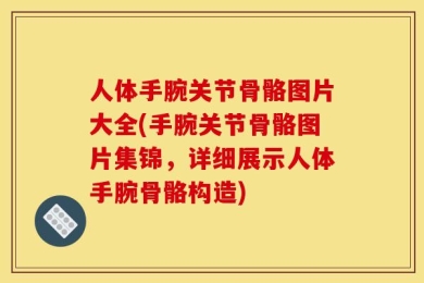 人体手腕关节骨骼图片大全(手腕关节骨骼图片集锦，详细展示人体手腕骨骼构造)