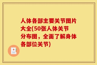 人体各部主要关节图片大全(50张人体关节分布图，全面了解身体各部位关节)