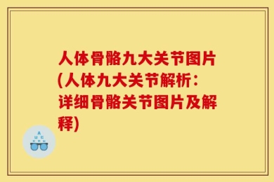 人体骨骼九大关节图片(人体九大关节解析：详细骨骼关节图片及解释)