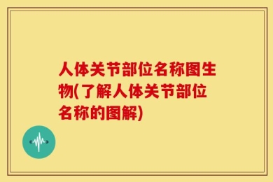 人体关节部位名称图生物(了解人体关节部位名称的图解)