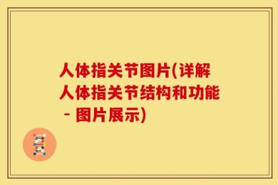 人体指关节图片(详解人体指关节结构和功能 - 图片展示)