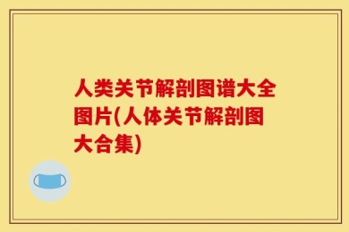 人类关节解剖图谱大全图片(人体关节解剖图大合集)