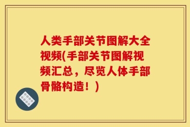 人类手部关节图解大全视频(手部关节图解视频汇总，尽览人体手部骨骼构造！)