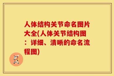 人体结构关节命名图片大全(人体关节结构图：详细、清晰的命名流程图)