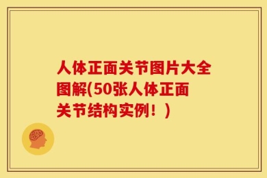人体正面关节图片大全图解(50张人体正面关节结构实例！)