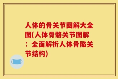 人体的骨关节图解大全图(人体骨骼关节图解：全面解析人体骨骼关节结构)
