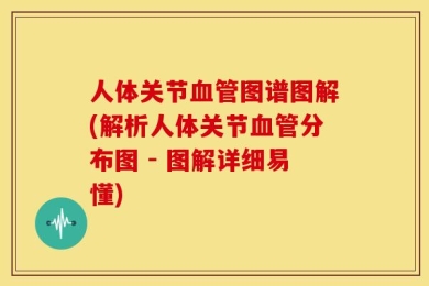 人体关节血管图谱图解(解析人体关节血管分布图 - 图解详细易懂)