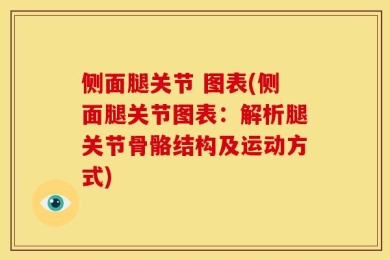 侧面腿关节 图表(侧面腿关节图表：解析腿关节骨骼结构及运动方式)