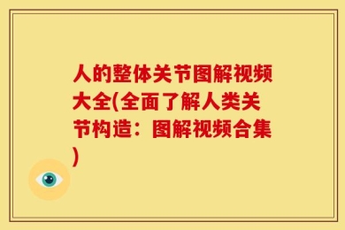 人的整体关节图解视频大全(全面了解人类关节构造：图解视频合集)