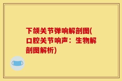 下颌关节弹响解剖图(口腔关节响声：生物解剖图解析)