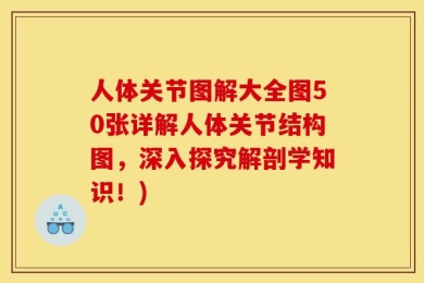 人体关节图解大全图50张详解人体关节结构图，深入探究解剖学知识！)
