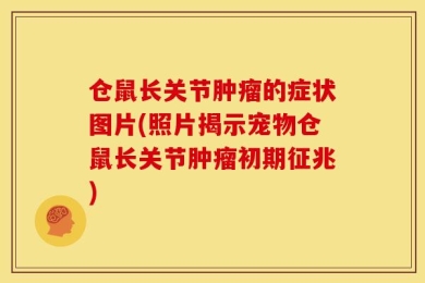 仓鼠长关节肿瘤的症状图片(照片揭示宠物仓鼠长关节肿瘤初期征兆)
