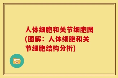 人体细胞和关节细胞图(图解：人体细胞和关节细胞结构分析)