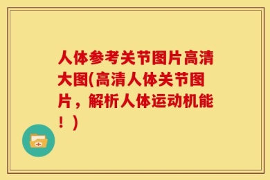 人体参考关节图片高清大图(高清人体关节图片，解析人体运动机能！)