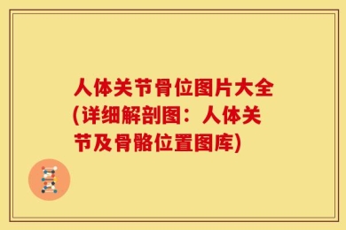 人体关节骨位图片大全(详细解剖图：人体关节及骨骼位置图库)