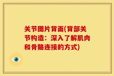 关节图片背面(背部关节构造：深入了解肌肉和骨骼连接的方式)