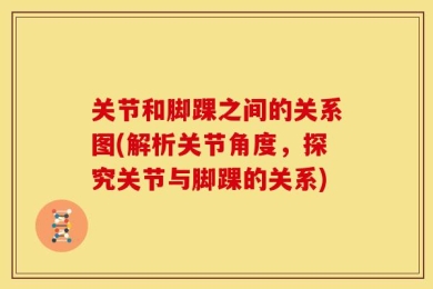 关节和脚踝之间的关系图(解析关节角度，探究关节与脚踝的关系)