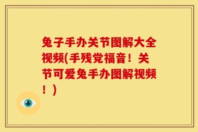 兔子手办关节图解大全视频(手残党福音！关节可爱兔手办图解视频！)