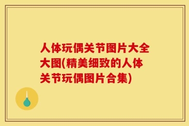 人体玩偶关节图片大全大图(精美细致的人体关节玩偶图片合集)
