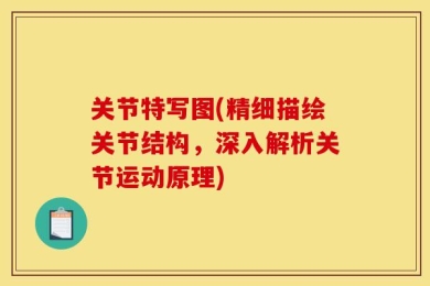 关节特写图(精细描绘关节结构，深入解析关节运动原理)
