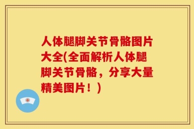 人体腿脚关节骨骼图片大全(全面解析人体腿脚关节骨骼，分享大量精美图片！)